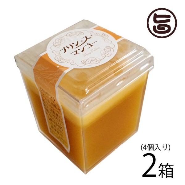 Mtg vEXE}S[ 4×2  yY lC n 썑t[c XC[c i