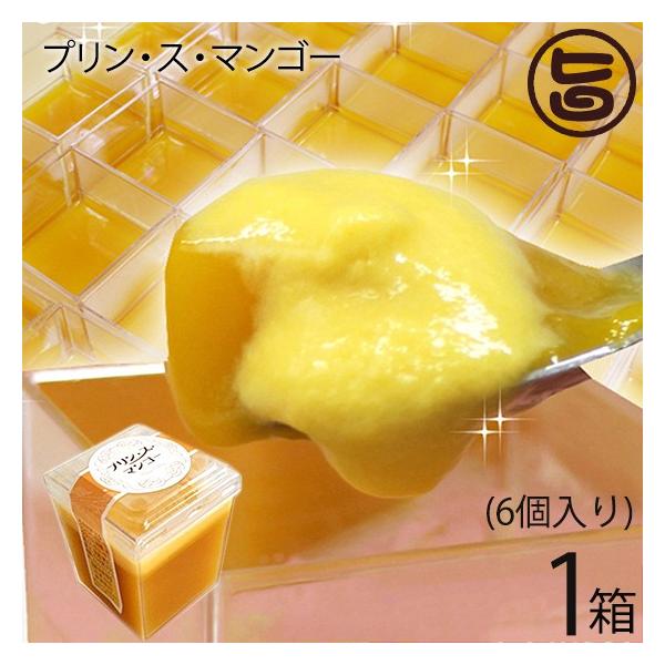 Mtg vEXE}S[ 6×1  lC XC[c 썑t[c n yY