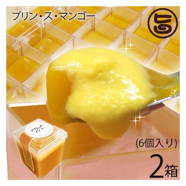 Mtg vEXE}S[ 6×2  yY lC XC[c 썑t[c n