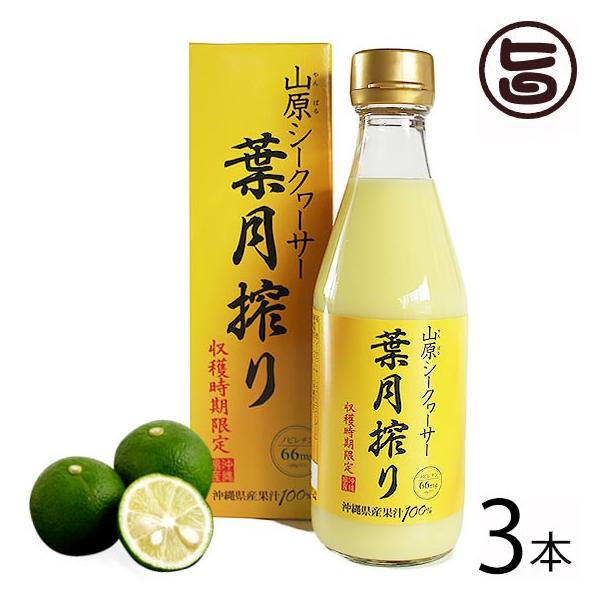 青切り シークヮーサー ジュース 原液 300ml×3本 琉球フロント 沖縄 健康飲料 皮ごと丸搾り 山原 葉月搾り 青切りシークワーサー ノビレチン