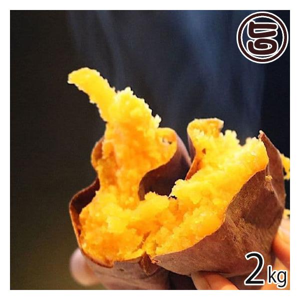 RR܂邢 nEBXC[g 2kg Đ_Vq 錧 yY ⓀĂ ₫