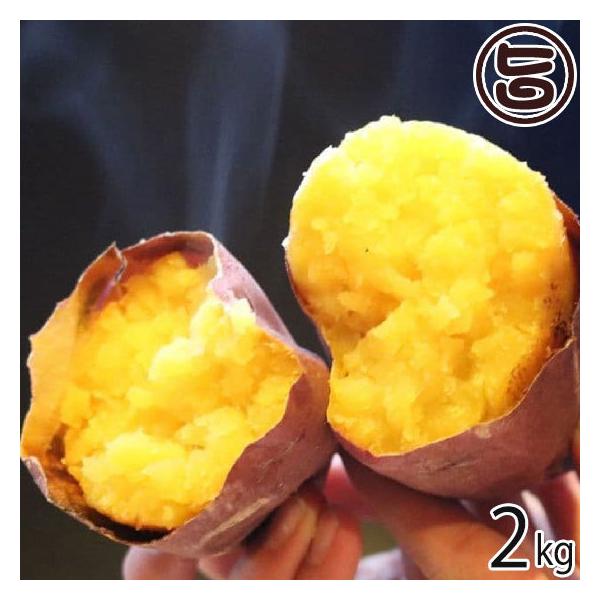 RR܂邢 VNXC[g 2kg Đ_Vq 錧 yY ⓀĂ ₫