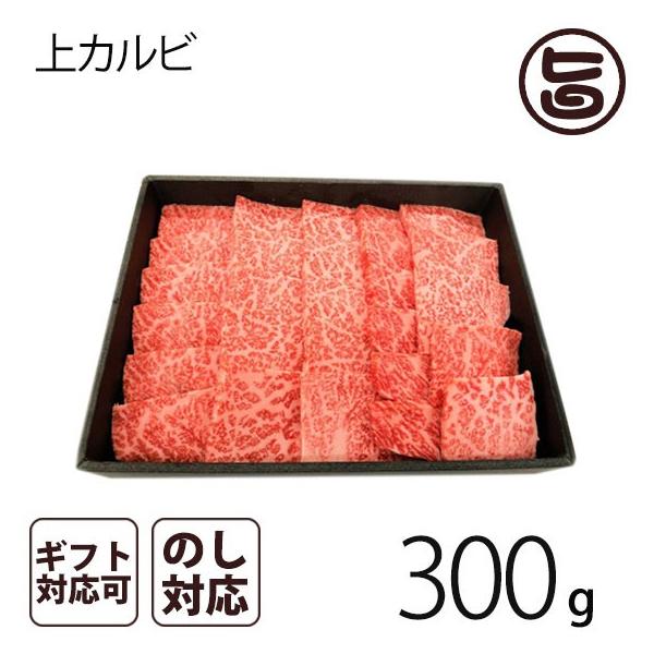 A4-5̂݋ Jrē 300giQ`RlOj 茧 uh Jr ēp@p v[g Mtg