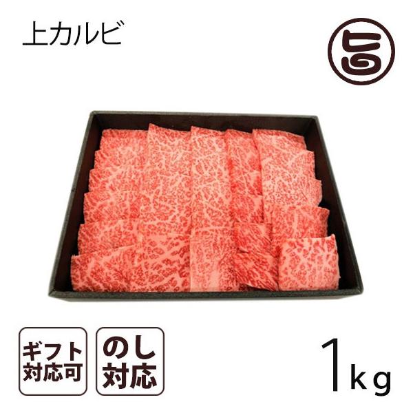 A4-5̂݋ Jrē 1kgiW`10lOj 茧 uh Jr ēp@p v[g Mtg