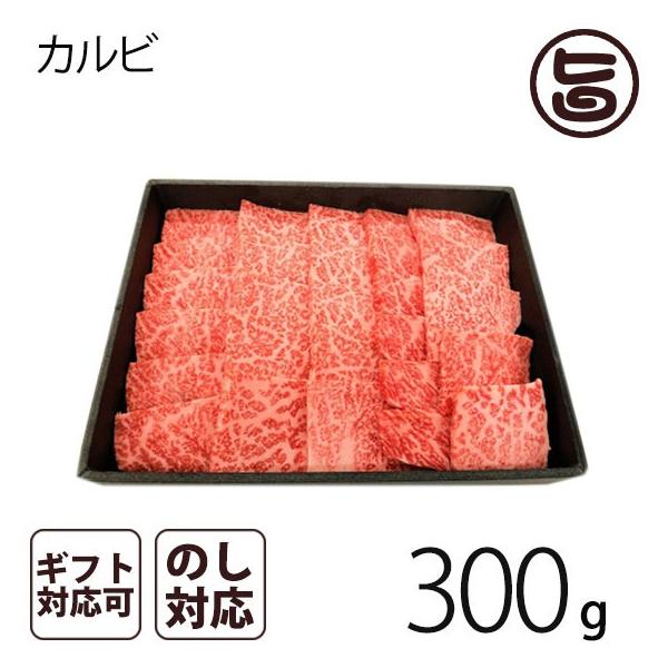 A4-5̂݋ Jrē 300giQ`RlOj 茧 uh Jr ēp@p v[g Mtg