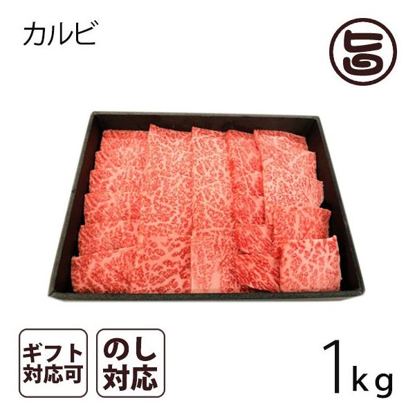 A4-5̂݋ Jrē 1kgiW`10lOj 茧 uh Jr ēp@p v[g Mtg