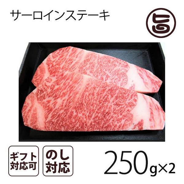 Mtgp A4`5̂݋ T[CXe[Li250g x 2j 茧 uh T[C@Xe[L p v[g