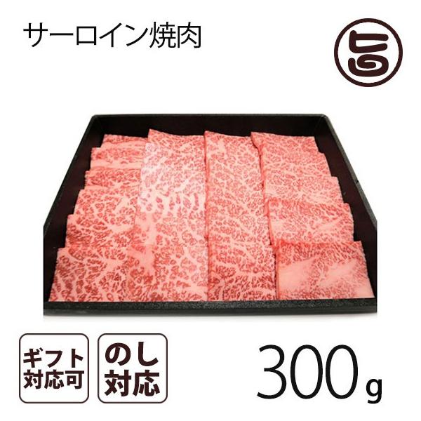 ̂ ݋T[Cē 300g 茧 uh T[C ēp p v[g Mtg