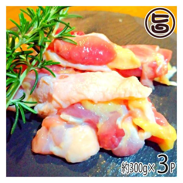 F{܌{ 900g ΈH F{ yY Ye{  ނ˃~bNX yfŏ_炩 Ǩ{