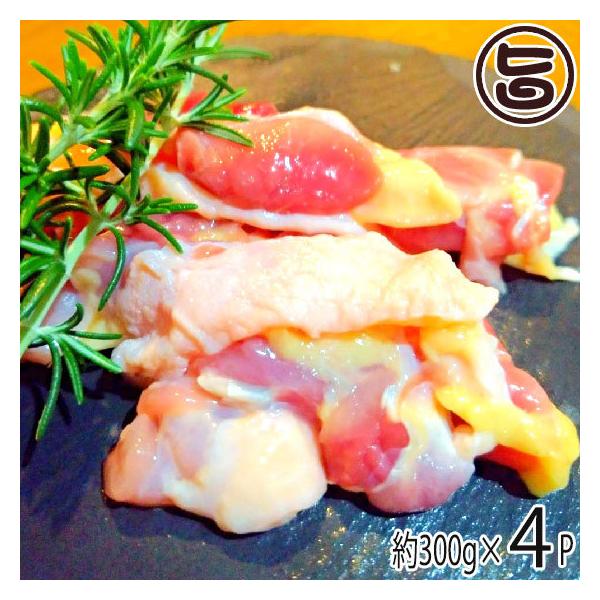 F{܌{ 1200g ΈH F{ yY Ye{  ނ˃~bNX yfŏ_炩 Ǩ{