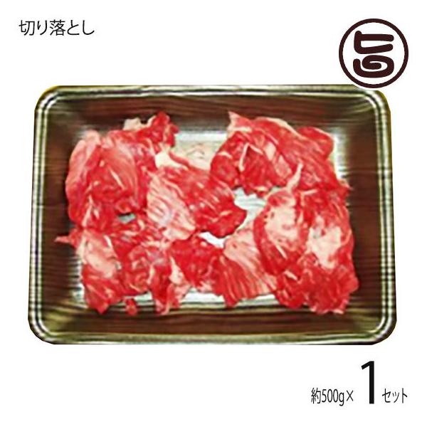 Mtg _˃r[t p ؂藎Ƃ 500g {Hi yY 蕨