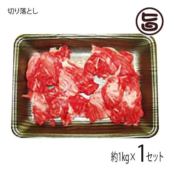 Mtg _˃r[t p ؂藎Ƃ 1000g {Hi yY 蕨