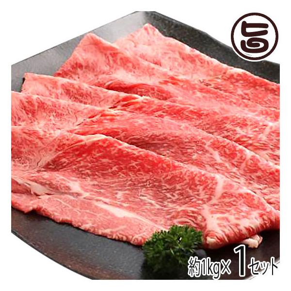 Mtg _˃r[t p ₫p Ԑg 1000g {Hi  H p yY 蕨