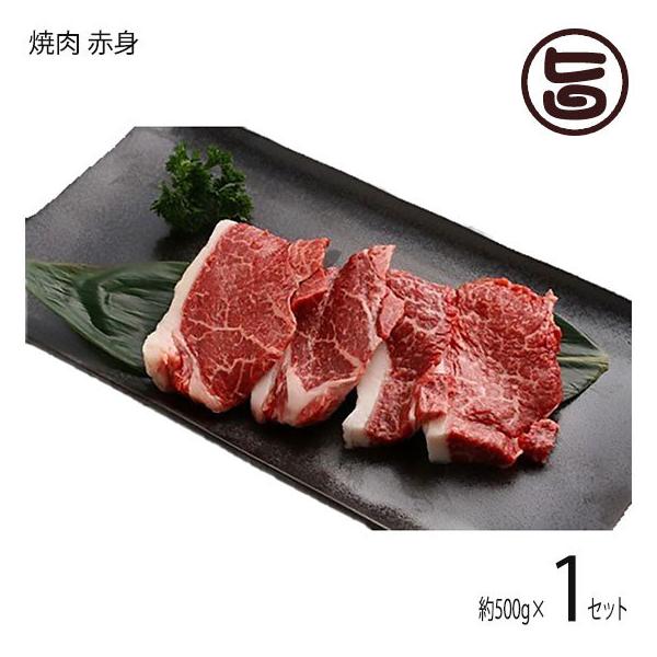 Mtg _˃r[t p ē Ԑg 500g {Hi yY 蕨