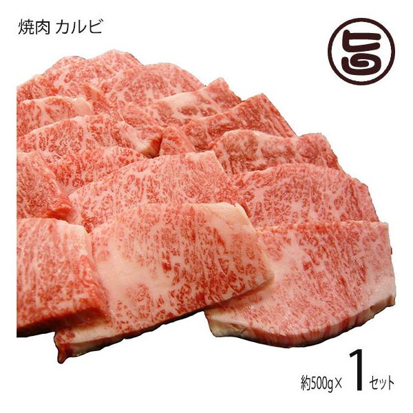 Mtg _˃r[t p ē Jr 500g {Hi yY 蕨