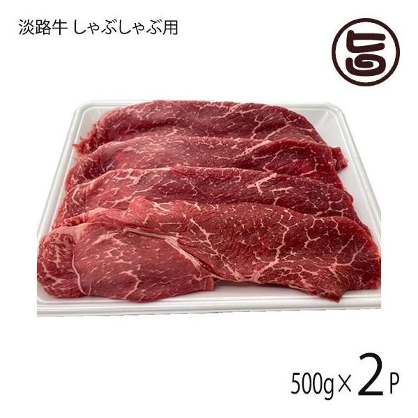 WH Ԃԗp 500g×2P jR}[g Y WHY 