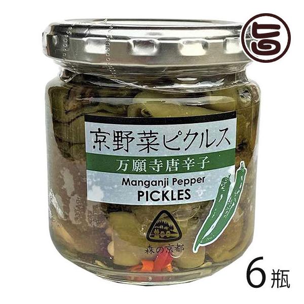 ؃sNX 莛hq 120g×6r snol̗ s lC yY  Е