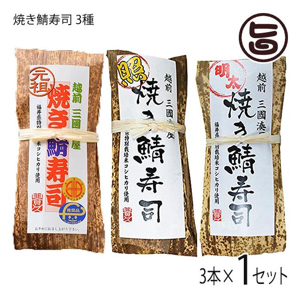 元祖 焼き鯖寿司 竹皮包み 照り焼き鯖寿司 焼き鯖めんたい寿司 3本セット 越前三國湊屋