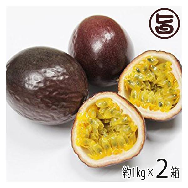 沖縄県産 パッションフルーツ 約1kg 9〜13玉×2箱 サンチャイルド農園