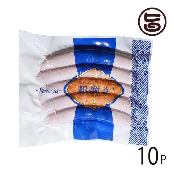 Mtg e҂\[Z[W 120g×10P ubNybp[  kC lC yY y