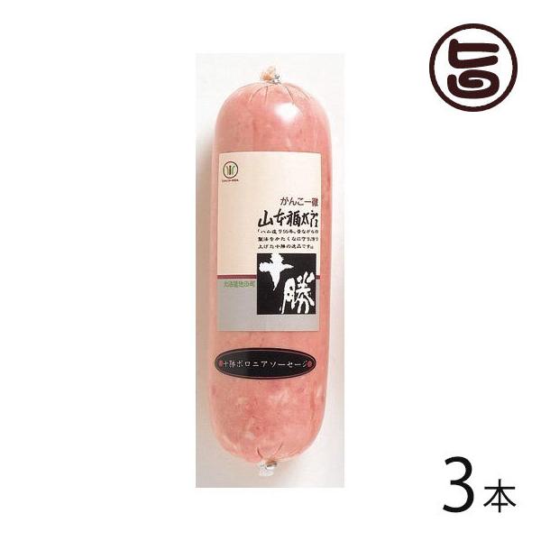 Mtg \{jA\[Z[W 250g×3{ \rcHi kC lC Mtg 蕨