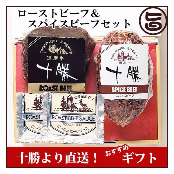 Mtg TIK42 XpCXr[t [Xgr[t kC \ lC Mtg 蕨