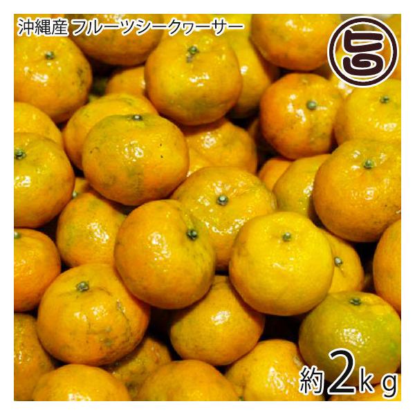 セール特別価格 シークワーサー パウダー 沖縄県産 100g 送料無料 粉末 シークヮーサー 国内製造 スーパーフード 微粉 シークワーサー パウダー 沖縄県産 100g 送料無料 粉末 シークヮーサー 国内製造 スーパーフード 微粉