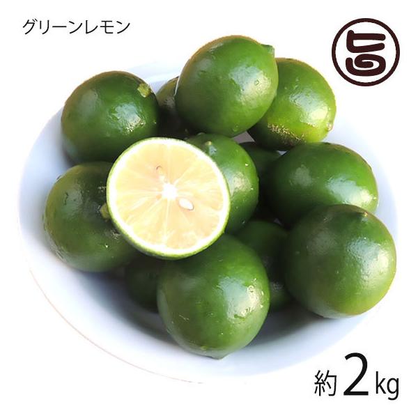 ꌧY O[ 2kg 20`40 {  yY  ʕ bNXEhܕsgp