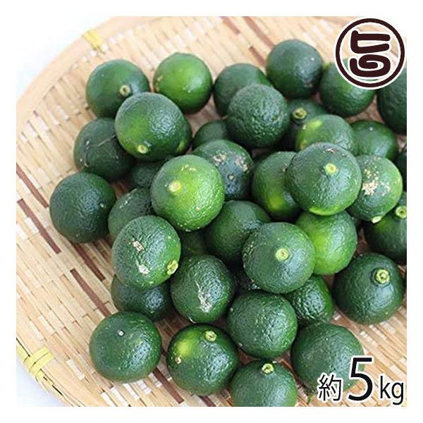 Ԍ Y V[N[T[5kg  lC 썑t[c  yY