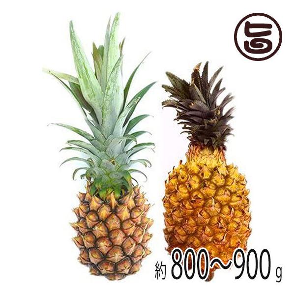パイナップル 1個の人気商品 通販 価格比較 価格 Com