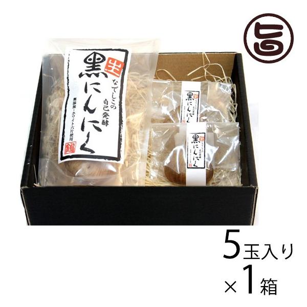 Mtg Ȃł̎Ȕy Eɂɂ MtgBOX 5ʓ Ȃł̎RHi  lC yRHi |tFm[ A~m_