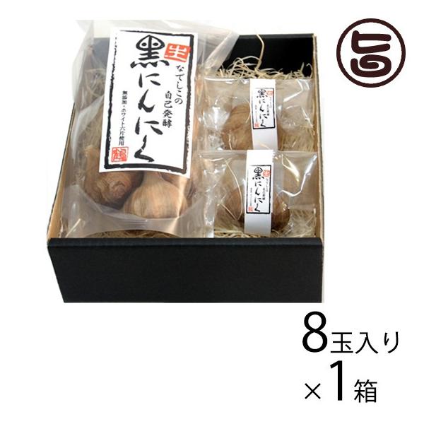 Mtg Ȃł̎Ȕy Eɂɂ MtgBOX 8ʓ Ȃł̎RHi  lC yRHi |tFm[ A~m_