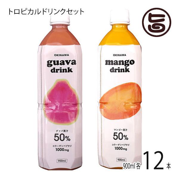 50ʏ` }S[EN@o e900ml×12{ LY  t[c 썑 lC W[X yY ʏ`50%