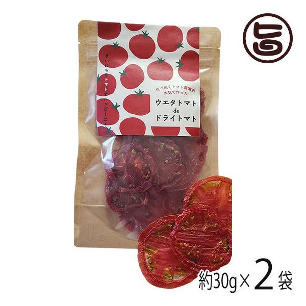 g}g_Ƃ{Cō EG^g}g de hCg}g 30g×2 EG^g}g m yY  hC Rs g}g15{