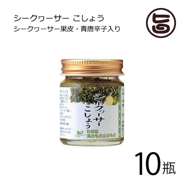 V[N[T[傤 ^Cv 40g×10r Ĉ̎R̂  lC yY mr`  t[c