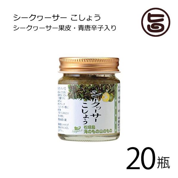 V[N[T[傤 ^Cv 40g×20r Ĉ̎R̂  lC yY mr`  t[c