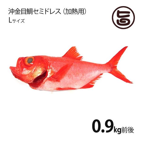 タン しゃぶしゃぶ 魚の人気商品 通販 価格比較 価格 Com