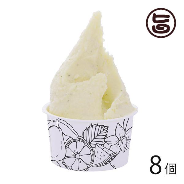 ΂WF[g OsX^`I 90ml×8Zbg ΂WF[g  yY WF[g sX^`Iy[Xg \o̐