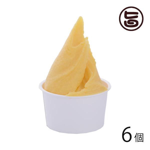 }S[ 90ml×6Zbg ΂WF[g  yY WF[g X  ACX