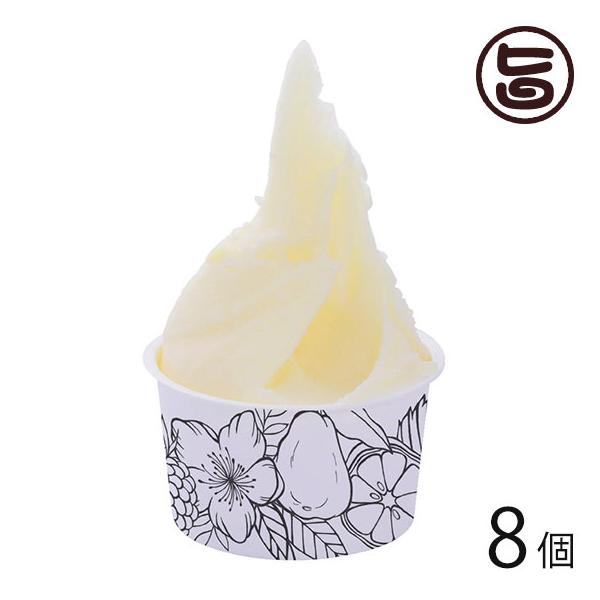 ΂WF[g RV[N[T[ 90ml×8Zbg ΂WF[g  yY WF[g X ꏟRYV[N[T[