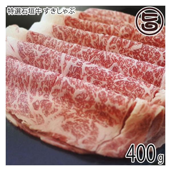 Mtg IΊ_  400g dRp[c~[g  yY lC ꌧYa  p 蕨