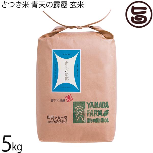 令和7年産 さつき米 青天の霹靂 玄米 5kg×1袋 山田ふぁーむ 青森県 お米 減化学肥料 減農薬