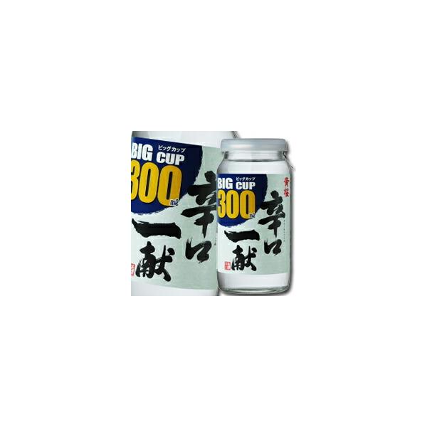  hꌣ300mlrbOJbv×2P[XiS40{j 