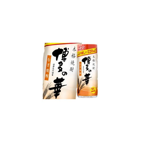  ̉ 25x220mlJbv×2P[XiS60{j 