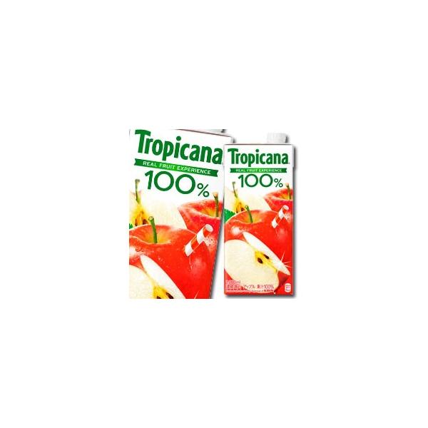 L gsJ[i100 Abv1L LLXpbN×1P[XiS6{j 