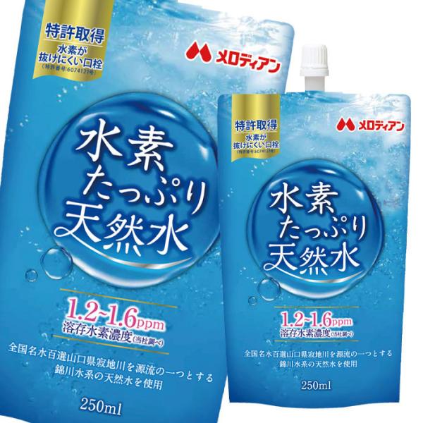 神様の水素(スタンドパウチタイプ) 1個