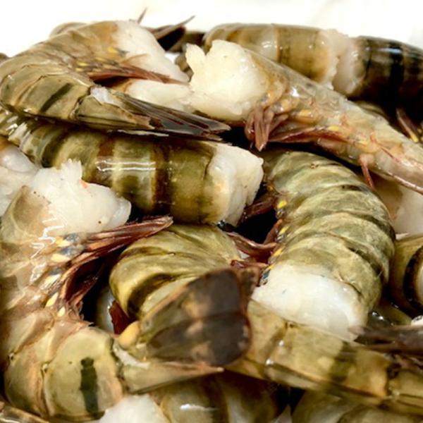 海老・ブラックタイガー海老 16/20サイズ 1枚(1.8kg)【鮮度維持