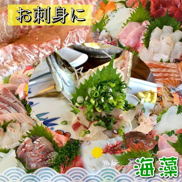 とさか 業務用 青 お刺身のお供 サラダ 味噌汁等に のり 魚介類 海産物 1袋500g入り とさか 1ケース２０袋入り jkfvsf うまいもの市場店 天然海藻 無添加 のり
