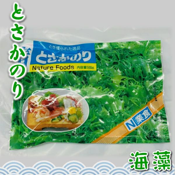 青とさかのり 500g入り【日本業務】国内産天然海藻・着色料不使用 ・刺身のつま、料理の付け合わせに【ポスト便】