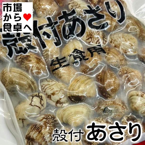 あさり （冷凍）殻付 500g【加熱調理済み・解凍後そのままお召し上がりいただけます】（冷凍便）